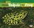 From Tadpole to Frog (Hardcover)