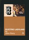 Electric Ladyland by John Perry