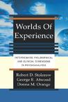 Worlds Of Experience Interweaving Philosophical And Clinical Dimensions In Psychoanalysis Worlds Of Experience Interweaving Philosophical And Clinical Dimensions In Psychoanalysis