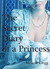 The Secret Diary of a Princess: a novel of Marie Antoinette