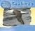 Seabirds