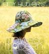Amy Butler's Midwest Modern by Amy Butler