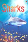 Sharks by Catriona Clarke Sharks by Catriona Clarke
