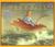Free Fall (Hardcover)