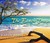 The Beach Trees (Audio CD)