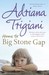 Home to Big Stone Gap (Big Stone Gap, Book 4)