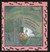 Possum Come A-Knockin (Hardcover)