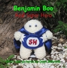 Benjamin Boo Real Super Hero by Dawn Behrens Benjamin Boo Real Super Hero by Dawn Behrens