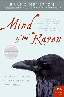 Mind of the Raven by Bernd Heinrich