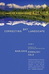 Correcting the Landscape: A Novel