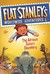 The African Safari Discovery (Flat Stanley's Worldwide Adventure, #6)