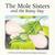 The Mole Sisters and the Rainy Day (Hardcover)