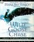 Wild Goose Chase: Rediscover the Adventure of Pursuing God (Audio CD)