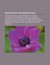 Dentistry Introduction by Books Group Dentistry Introduction by Books Group