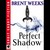 Perfect Shadow (Night Angel, #0)
