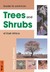Field Guide To Common Trees And Shrubs Of East Africa (Field Guide)