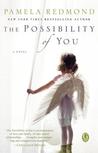 The Possibility of You by Pamela Redmond Satran The Possibility of You by Pamela Redmond Satran