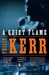 A Quiet Flame: A Bernie Gunther Novel (Paperback)