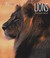 Lions