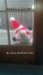 Santa's a Zombie?