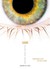 Sight (Paperback)