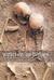 Written in Bones by Paul G. Bahn Written in Bones by Paul G. Bahn