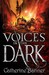 Voices in the Dark (Paperback)