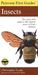 Peterson First Guide to Insects of North America