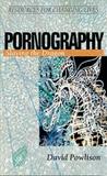 Pornography: Slaying the Dragon