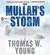 The Mullah's Storm (MP3 Book)