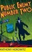 Public Enemy Number Two (Diamond Brothers, #2)