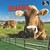 Cattle: Cows, Bulls, And Ca...
