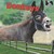 Donkeys: Jennies, Jacks, An...