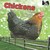Chickens: Hens, Roosters, A...