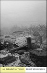 An Elemental Thing by Eliot Weinberger