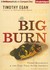 The Big Burn: Teddy Roosevelt & The Fire That Saved America (Audio CD)