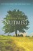 Nutmeg by Kristin Valla Nutmeg by Kristin Valla