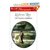 The Italian Marriage (Foreign Affairs) (Harlequin Presents, No. 2346)