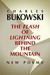 The Flash of Lightning Behind the Mountain: New Poems (Hardcover)