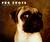 Pug Shots by Jim Dratfield Pug Shots by Jim Dratfield