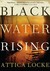 Black Water Rising (Paperback)