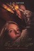 Under the Jolly Roger: Being an Account of the Further Nautical Adventures of Jacky Faber (Bloody Jack, #3)