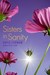 Sisters in Sanity (Paperback)