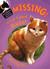 Missing! A Cat Called Buster (Hardcover)