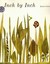 Inch by Inch (Hardcover)