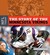 The Story of the Minnesota Vikings