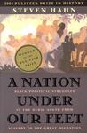 A Nation Under Our Feet by Steven Hahn