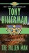 The Fallen Man (Paperback)