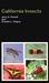 California Insects