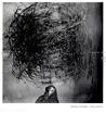 Roger Ballen: Shadow Chamber Roger Ballen: Shadow Chamber
